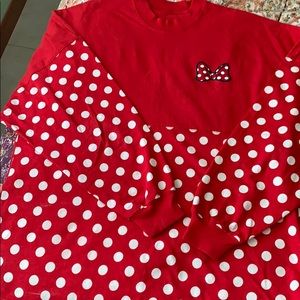 Walt Disney World Spirit Jersey